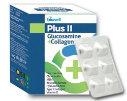 Biowell Plus II Glucosamine + Collagen Takviye Edici Gıda 60 Kapsül Kullananlar