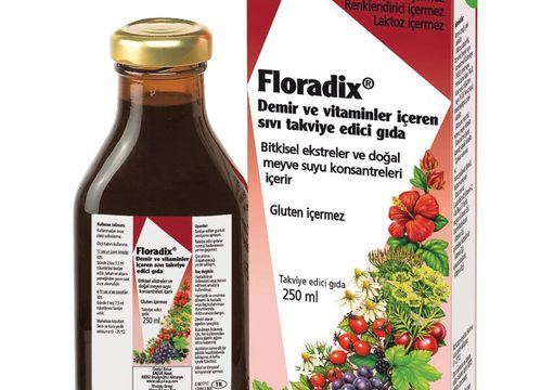 Floradix Sıvı Takviye edici Gıda 250 ml Kullananlar