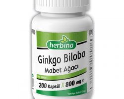 Herbine Ginkgo Biloba Mabet Ağacı Kullananlar