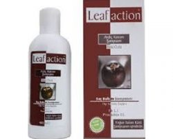 Leafaction Ardıç Katranlı Şampuanı 400 Kullananlar