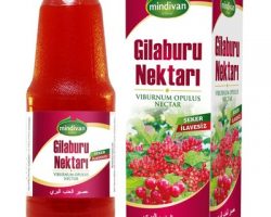 Mindivan Gilaburu Nektarı 1l Kullananlar