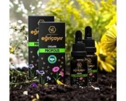 Organik Sıvı Propolis 20 ml Kullananlar